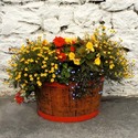 Ballyvaughan%20Blooms (thumbnail)