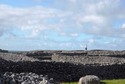 Inisheer%20Rocks%21%3Cbr%3E (thumbnail)