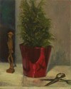 Evergreen (thumbnail)