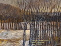Georgie's Woods