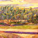 SHIKIBU-SUMMER EVENING