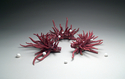 Symbiotic%20Nest (thumbnail)