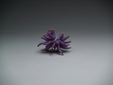 Urchin (thumbnail)