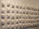 Sculpture, wallhanging, conceptual -  Sculpture
