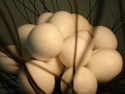 Sculpture-Re-Generation