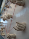 Sculpture--Ceramic-ConceptualConnections (Detail)