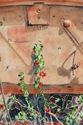 Painting--Watercolor-BotanicalFirewall