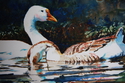 Painting--Watercolor-AnimalsFowl Play