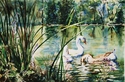 Painting--Watercolor-AnimalsBathing Geese