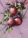 Painting--Watercolor-BotanicalApple Abstract
