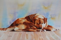 Painting--Watercolor-AnimalsMorning Sun