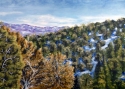 Over%20View (thumbnail)