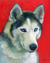Kita