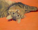 Green Eyed Cat on Orange Ground