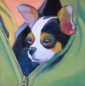 Chihuahua in a Green Jacket