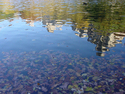 Central%20Park%20Pond (thumbnail)