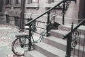 Spruce%20Street%20Bike (thumbnail)