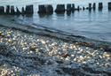 Long%20Island%20Sound%20III (thumbnail)