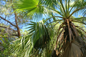 Haifa%20Park%20III (thumbnail)