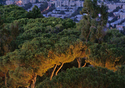 Haifa%20Night%20II (thumbnail)
