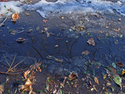 Melting%20Snow (thumbnail)