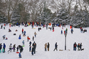 Cedar%20Hill%20-%20Central%20Park (thumbnail)
