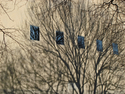 The%20Metropolitan%20Museum%20-%20Park%20Side (thumbnail)
