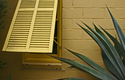 FL%20Shutter (thumbnail)