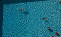 Pool%20VI (thumbnail)