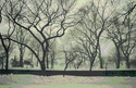Central%20Park%20Winter%20I (thumbnail)