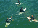 Venice%20Beach%20Surfers%20II (thumbnail)