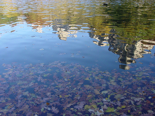 Central%20Park%20Pond (large view)