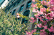 Photography--DigitalUpper Fifth