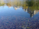 Photography--Digital-LandscapeCentral Park Pond