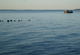 Photography--Digital-LandscapeLong Island Sound XVII