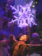 Photography--Digital-LandscapeBloomie's Snowflake