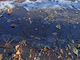 Photography--Digital-LandscapeMelting Snow