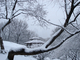 Photography--Digital-LandscapeCentral Park III 2.3.09