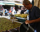Photography--Digital-LandscapeFresh Olives