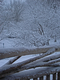 Photography--Digital-LandscapeCentral Park Perch  2.3.09