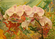 Photography--Digital-LandscapeMy Orchids and Watercolor