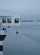 Photography--Digital-LandscapeBridge and Tug
