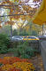 Photography--Digital-LandscapeTaxi at the Corner