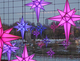 Photography--Digital-LandscapePink and Purple Stars 2009 