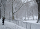 Photography--Digital-LandscapeUmbrella