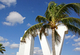 Photography--Digital-LandscapeLogo and Palms
