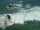 Photography-Venice Beach Surfer I