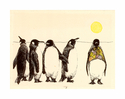 Penguins%20in%20the%20Sunshine (thumbnail)