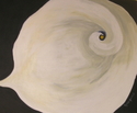 NancyJean Tuten - "The Eye of The Calla Lily"