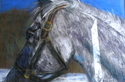 Horse%20portrait (thumbnail)